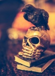 Skull And Raven Decoration