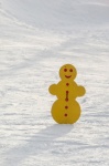 Snowman In A Snow