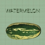 Summer Watermelon Vinatge Poster