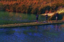 Three Boys Fishing