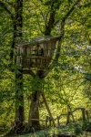 Treehouse For Kids