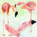 Two Flamingos Tropical Background