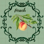 Vinatge Peach Poster