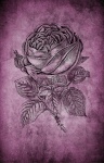 Vintage Flower Rose Parchment
