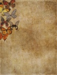 Vintage Butterfly Paper