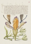 Vintage Art Calligraphy Flowers