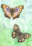 Vintage Butterflies Watercolor