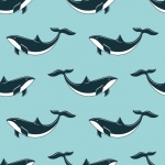 Whale Pattern Background