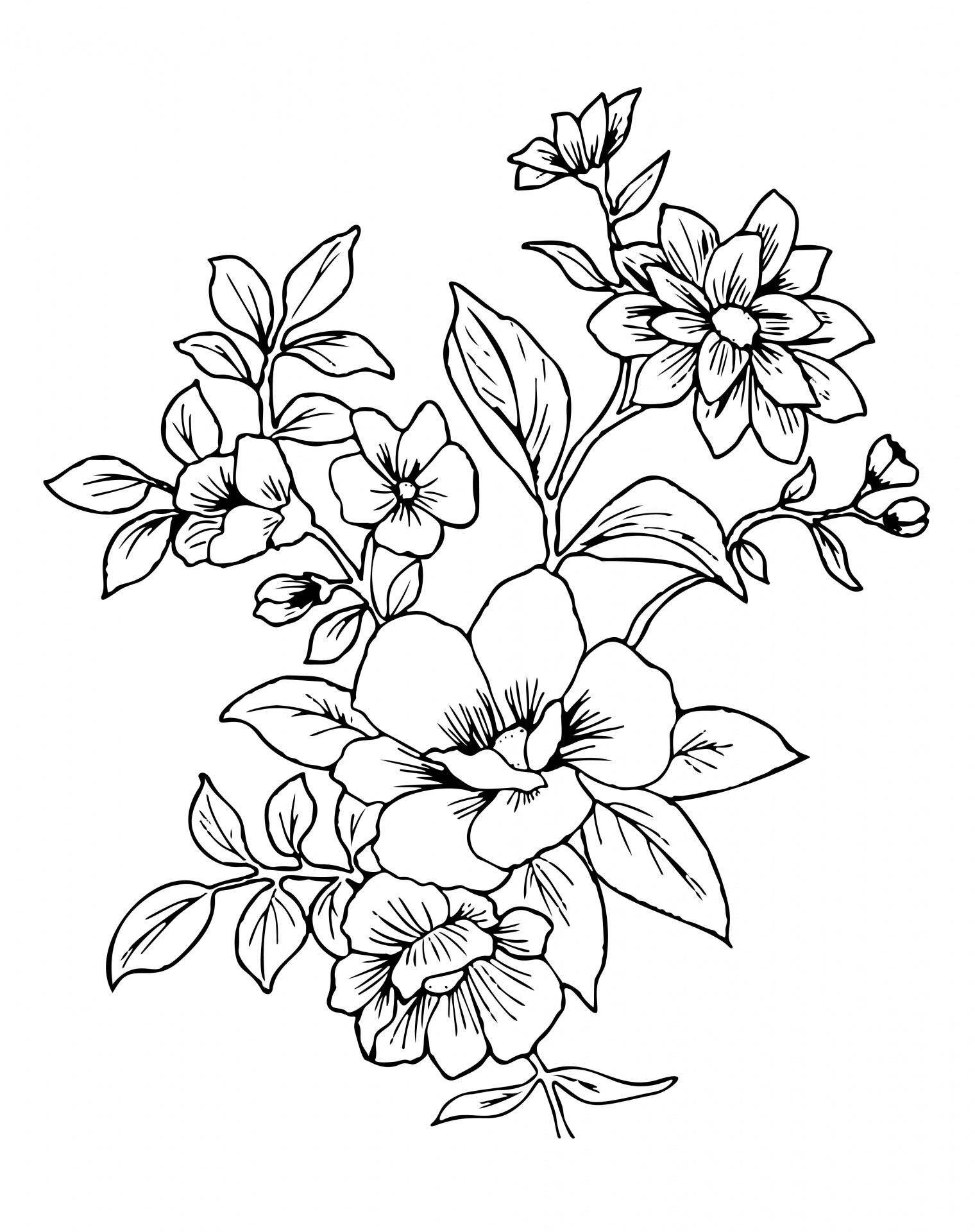 Flowers Line Art Illustration