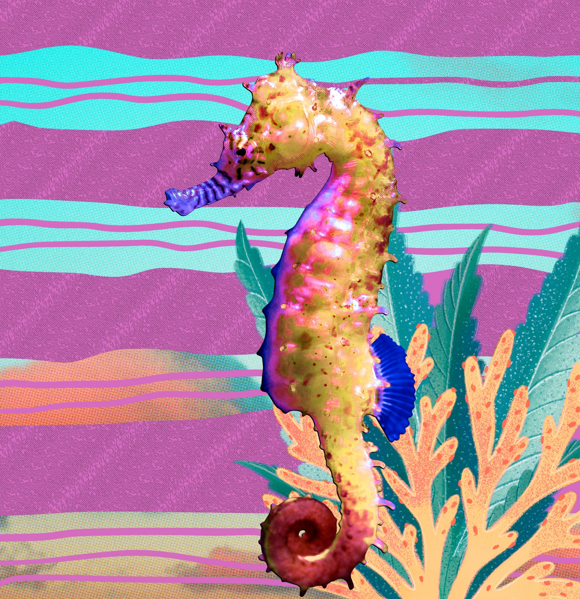 colorful photo collage of a sea horse and coral on an abstract pattern background