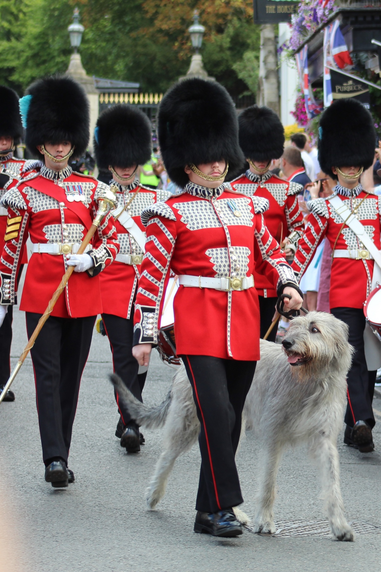 Soldiers On March With Wolfhound