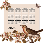 2023 Calendar Vintage Bird