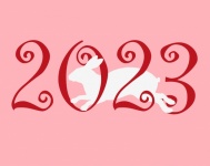 2023 Rabbit New Year