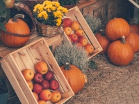 Apples And Pumpkins Display