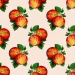 Apples Fruit Pattern Background