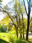 Autumn Landcape In Smolensk Park