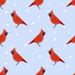 Birds Winter Snow Pattern