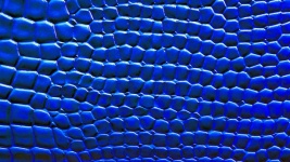 Blue Crocodile Skin Background