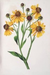 Flowers Yellow Vintage Art
