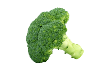 Broccoli Vegetable Veggie Clipart