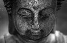 Buddha Face Portrait Photography
