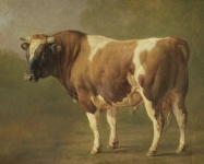 Bull Vintage Art Painting