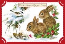 Bunny Rabbits Christmas Card