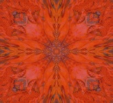 Fabric Boho Red 3
