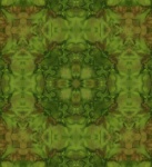 Fabric Swatch Green