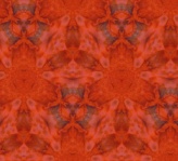 Fabric Swatch Red 2