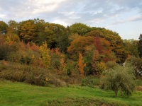 Fall Landscape Hill Autumn