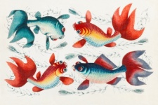 Fish Koi Carp Illustration