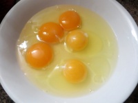 Free Range Vs Storebought Eggs