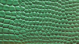 Green Crocodile Skin Background