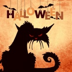 Halloween Black Cat Bat