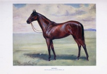 Horse Vintage Art Painting