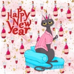 New Year Cat