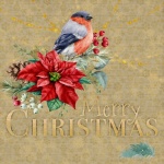 Merry Christmas Bird