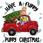 Cat Christmas Greeting Card