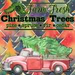 Pick-up Truck With Tree