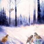 Winter Snow Quail Forest