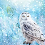 Winter White Owl