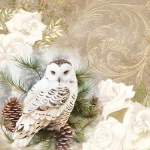 Vintage Winter White Owl