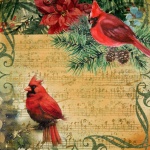 Christmas Cardinal Bird Vintage