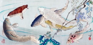 Art Watercolor Painting Fish