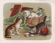 Art Painting Kittens Cats