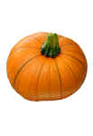 Pumpkin Halloween Fall Clipart