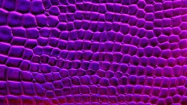 Lilac Crocodile Skin Background