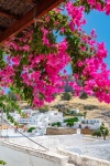 Lindos And Flowers