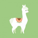 Llama Cute Illustration